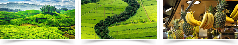 Banner trang giới thiệu Banner trang giới thiệu